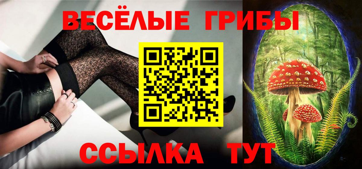 Псилоцибиновые грибы Psilocybine cubensis Ирбит
